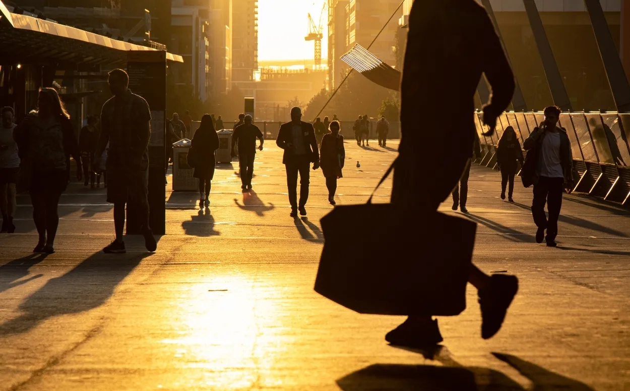 Site que explica passo a passo como contratar o serviço